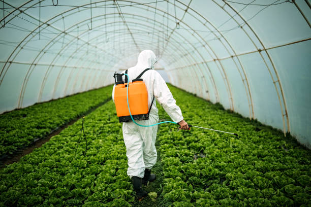 Best Pest Control Near Me  in Sugar City, ID