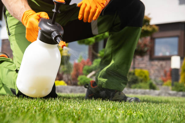 Best Termite Control Services  in Sugar City, ID